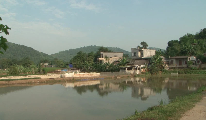 Mô hình kinh tế vườn-ao-chuồng của dòng họ Vàng.