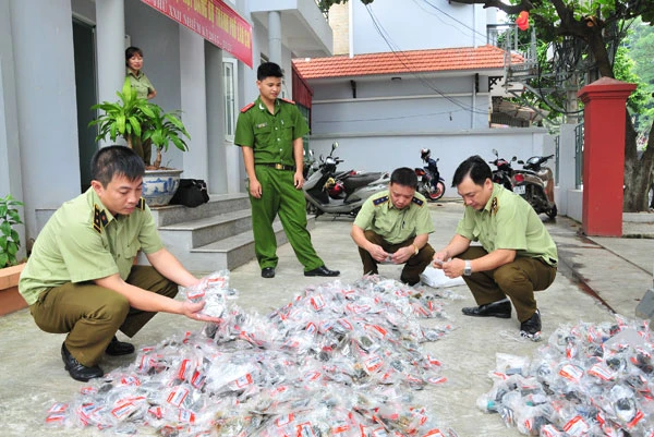 Lực lượng quản lý thị trường thành phố Lào Cai thu giữ số lượng lớn phụ tùng xe máy giả. Lực lượng quản lý thị trường thành phố Lào Cai thu giữ số lượng lớn phụ tùng xe máy giả.