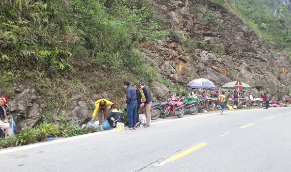 Sa Pa: Hoa đỗ quyên rừng bày bán công khai ảnh 2