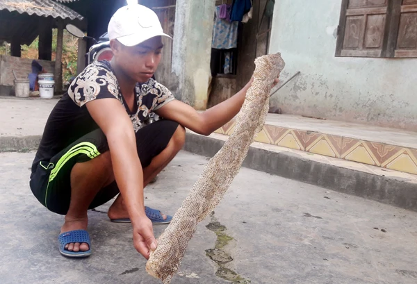 Anh Điệp và một đoạn vỏ xác rắn khổng lồ tìm thấy trong hang đá.