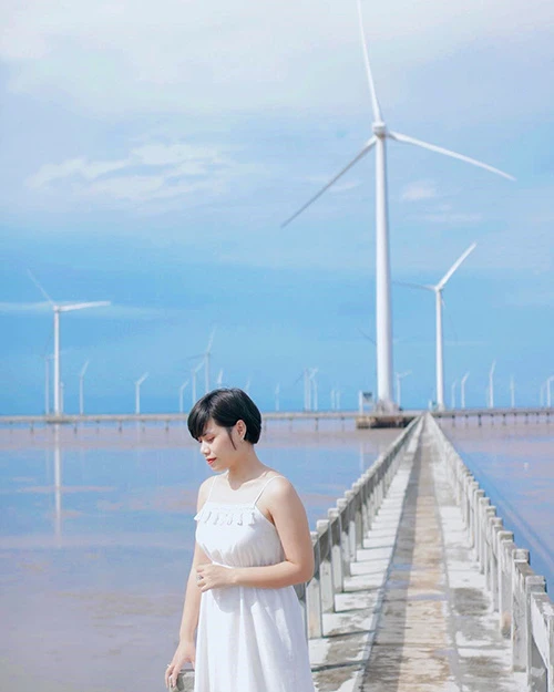 Cánh đồng quạt gió như ở trời Âu ngay gần Sài Gòn ảnh 3