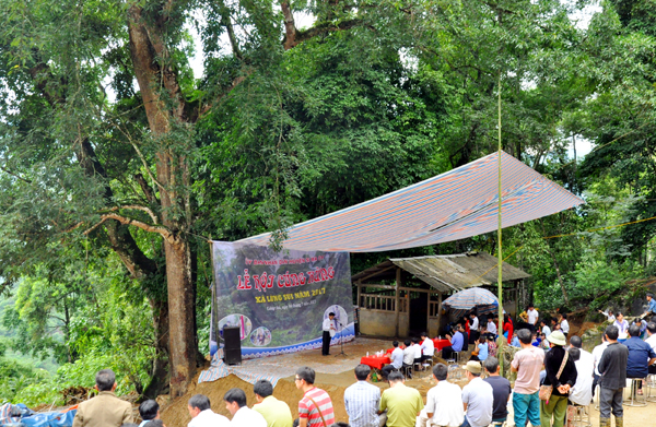 Lễ cúng rừng thôn Lùng Sán được thực hiện bên khu rừng cấm.