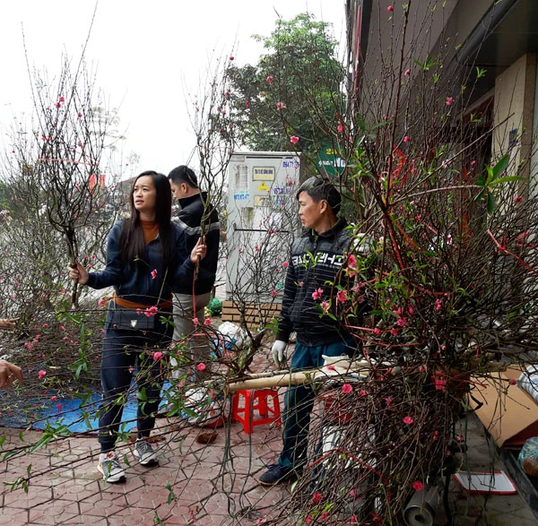 Những cành đào nhỏ để cắm ban thờ đắt hàng sáng 30 Tết. Những cành đào nhỏ để cắm ban thờ đắt hàng sáng 30 Tết.