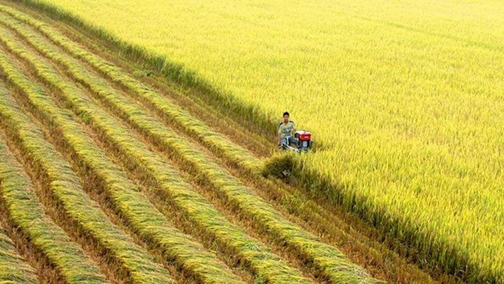 Doanh nghiệp vẫn gặp khó với những chính sách, thủ tục hành chính...