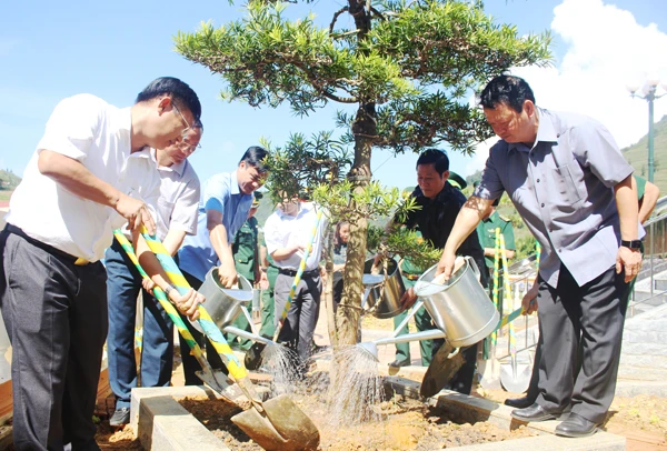 Đoàn công tác trồng cây lưu niệm tại Đồn Biên phòng Pha Long.