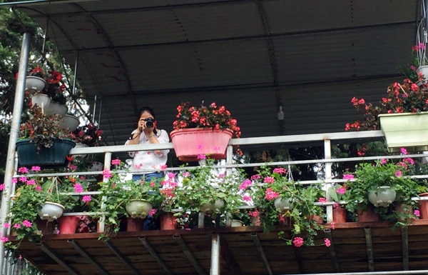 Khách du lịch thỏa sức chụp ảnh tại khu vườn “Eden”. Khách du lịch thỏa sức chụp ảnh tại khu vườn “Eden”.