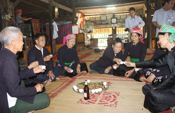 Khi thức dậy, việc đầu tiên trong ngày Tết Đoan Ngọ của đồng bào dân tộc Tày là “diệt sâu bọ”, bằng việc ăn các loại quả như mận, đào, dưa hấu.. và uống 1 chút rượu.. Diệt sâu bọ xong, các thành viên trong gia đình bắt đầu nấu ăn, chuẩn bị đồ lễ dâng cúng tổ tiên. Rất nhiều món ăn đặc sản bản địa được đồng bào Tày chuẩn bị trong ngày Tết Đoan ngọ. Lễ cúng tổ tiên do một bậc cao niên trong gia đình làm lễ. Trẻ em dân tộc Tày cũng dậy từ rất sớm và ăn quả để diệt sâu bọ. Tết Đoan ngọ còn là dịp để các thành viên trong gia đình đoàn tụ, cùng nhau nói chuyện vui vẻ, chúc cho nhau gặp những điều tốt lành trong cuộc sống.