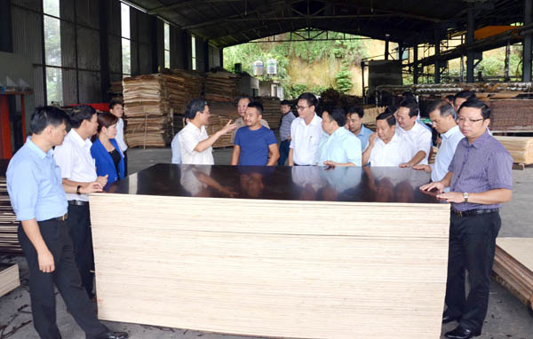 Đoàn công tác Ban Chỉ đạo Trung ương về thực hiện Kết luận số 61 của Ban Bí thư Trung ương Đảng làm việc tại huyện Bảo Thắng ảnh 5 Đoàn công tác Ban Chỉ đạo Trung ương về thực hiện Kết luận số 61 của Ban Bí thư Trung ương Đảng làm việc tại huyện Bảo Thắng ảnh 5