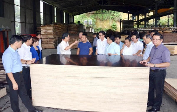 Đoàn công tác Ban Chỉ đạo Trung ương về thực hiện Kết luận số 61 của Ban Bí thư Trung ương Đảng làm việc tại huyện Bảo Thắng ảnh 5