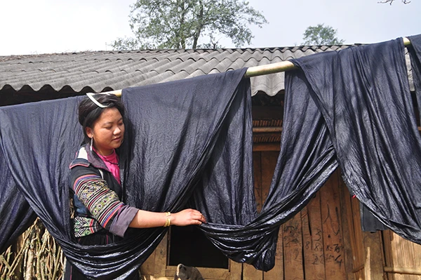 Se lanh để dệt thổ cẩm của người Mông xã Lao Chải. Nghề thêu thủ công của đồng bào Dao xã Tả Phìn. Nghề rèn của người Dao xã Tả Phìn. Nhuộm chàm vải lanh của người Mông xã Hầu Thào. Nghề chạm khắc đá của người Mông xã San Sả Hồ. Nhuộm sáp ong, in hoa văn thổ cẩm của người Mông bản Cát Cát. Nghề chạm bạc truyền thống của người Mông xã Tả Van. Nghề nấu rượu ngô thủ công tại xã Thanh Kim.