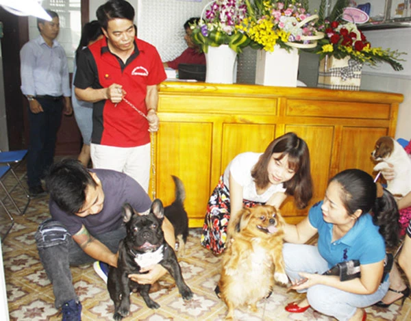 Ngay ngày khai trường, rất đông khách hàng đem chó đến chăm sóc.