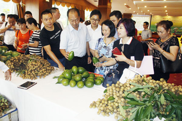 Các đại biểu tham quan khu trưng bày nông sản của tỉnh Sơn La.