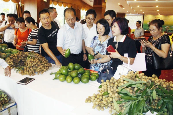 Các đại biểu tham quan khu trưng bày nông sản của tỉnh Sơn La.