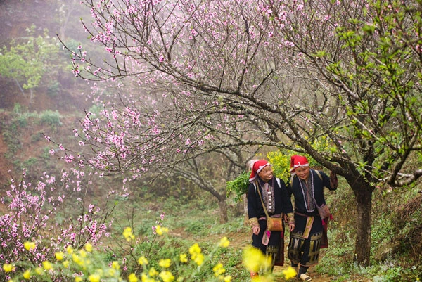 Dưới sắc đào xuân.