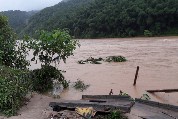 Nhiều diện tích lúa, hoa màu ngập sâu. Nhiều diện tích lúa, hoa màu ngập sâu.
