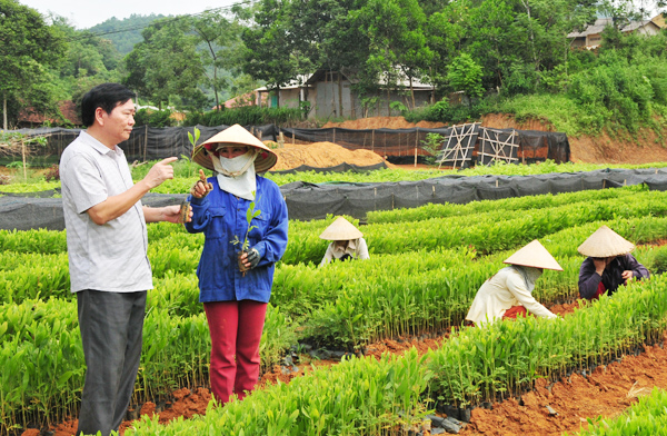 Hội viên phụ nữ Bảo Yên tích cực tham gia các phong trào thi đua.