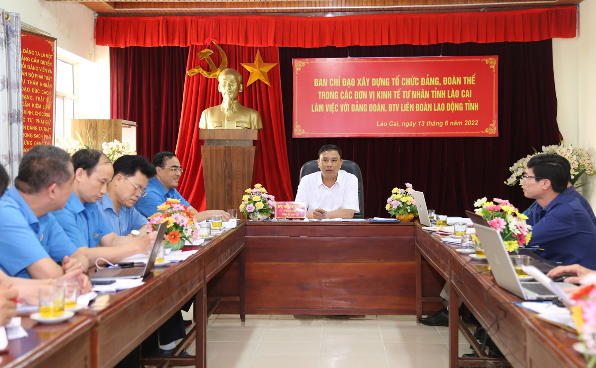 Tiếp tục đẩy mạnh phát triển đoàn viên, thành lập công đoàn cơ sở trong các đơn vị kinh tế tư nhân ảnh 1