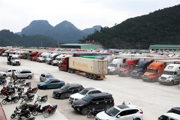 Lạng Sơn dừng tiếp nhận phương tiện chở hoa quả đến cửa khẩu từ 17/1 ảnh 1 Lạng Sơn dừng tiếp nhận phương tiện chở hoa quả đến cửa khẩu từ 17/1 ảnh 1