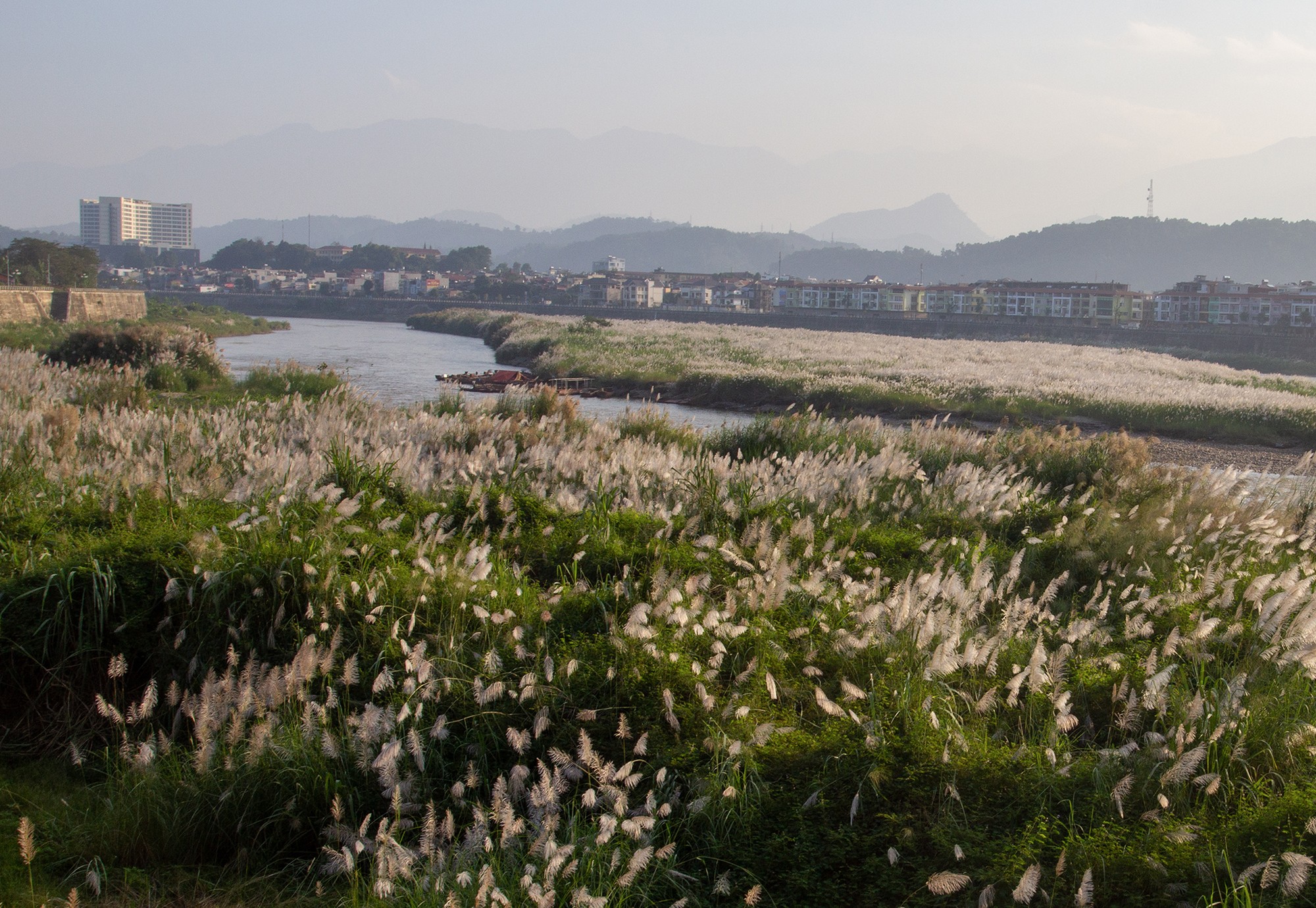 Lau trắng ngang trời ảnh 2