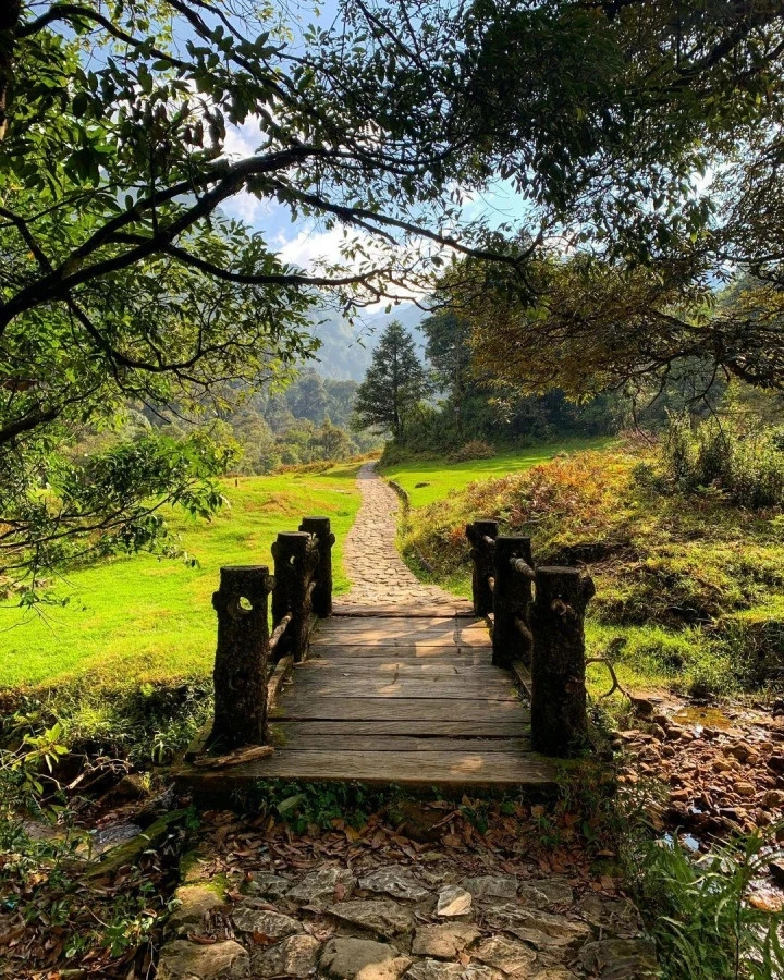 Đường mòn đến con thác được bao bọc bởi vẻ đẹp hoang dã của hoa lá, cỏ cây.