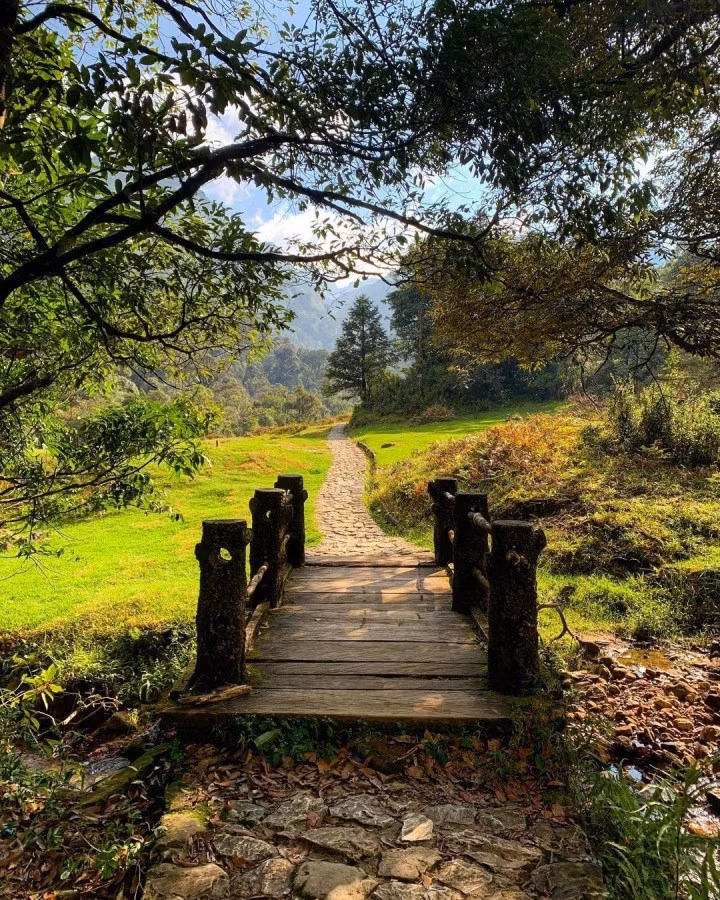 Đường mòn đến con thác được bao bọc bởi vẻ đẹp hoang dã của hoa lá, cỏ cây.