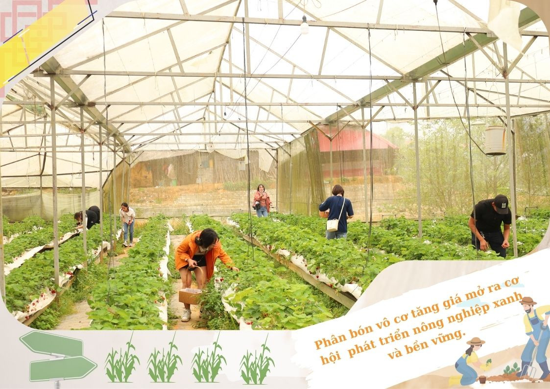 Vật tư nông nghiệp tăng giá: Thách thức mở ra cơ hội ảnh 4 Vật tư nông nghiệp tăng giá: Thách thức mở ra cơ hội ảnh 4