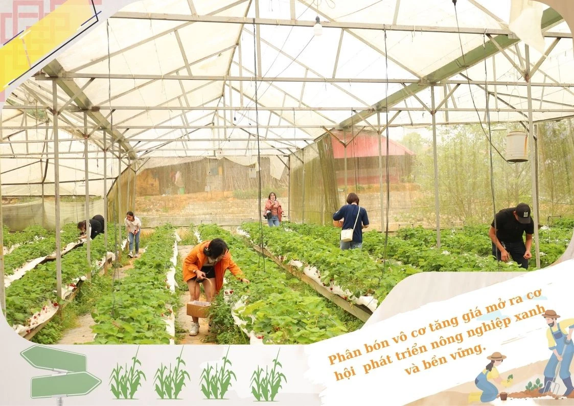 Vật tư nông nghiệp tăng giá: Thách thức mở ra cơ hội ảnh 4