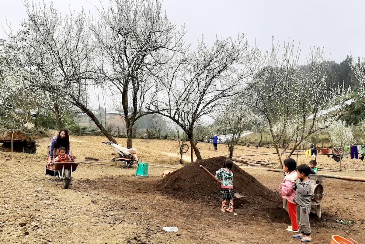 Thanh bình bản nhỏ trên rẻo cao Tả Van Chư.