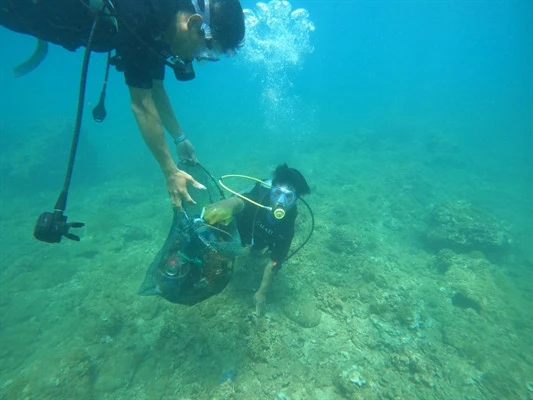 Để cho đáy biển mỗi ngày đẹp hơn ảnh 2