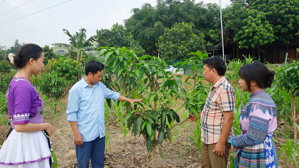 “Mối tình” xuyên quốc gia ảnh 4 “Mối tình” xuyên quốc gia ảnh 4