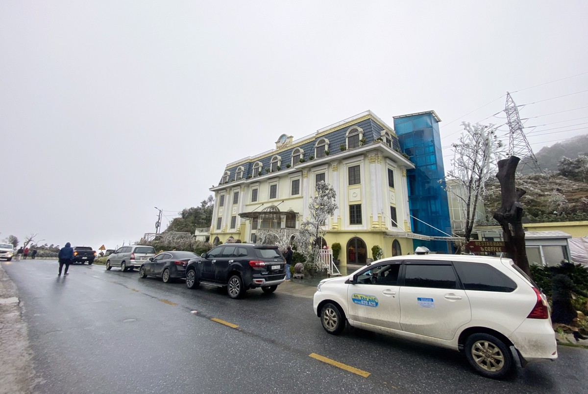 Băng phủ trắng cây cối. Du khách chụp ảnh lưu niệm. Khi thông tin Sa Pa có thể có mưa tuyết, lượng du khách đổ lên rất đông.