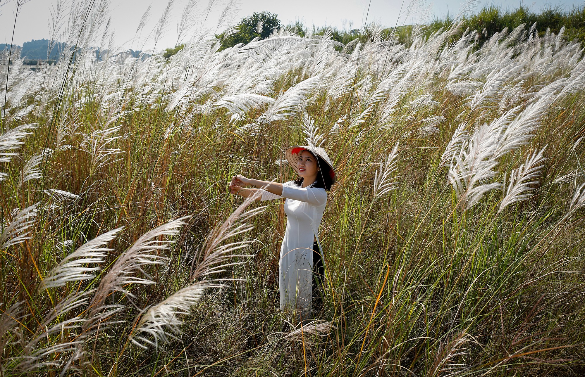 Lau trắng ngang trời ảnh 1