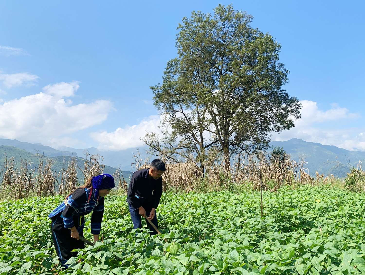 Niềm tin ở bản Hà Nhì ảnh 7