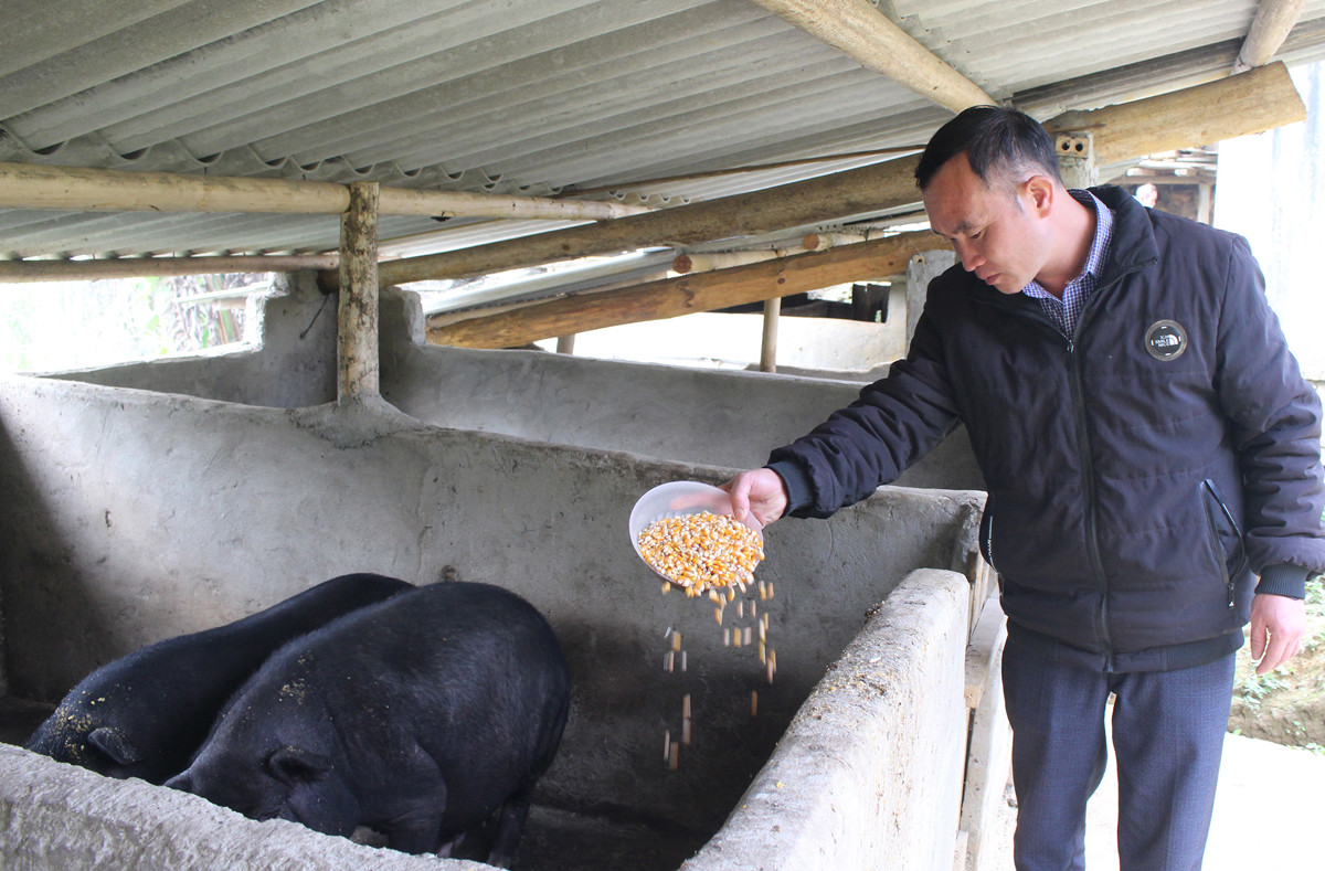 Ngoài thời gian làm việc, anh Tính tranh thủ chăn nuôi, phát triển kinh tế gia đình. Ngoài thời gian làm việc, anh Tính tranh thủ chăn nuôi, phát triển kinh tế gia đình.