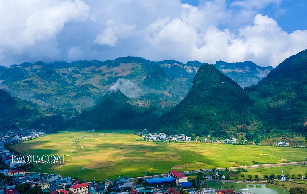 Mùa lúa chín&nbsp;Mường Khương -&nbsp;dải lụa vàng giữa đại ngàn biên ải ảnh 3