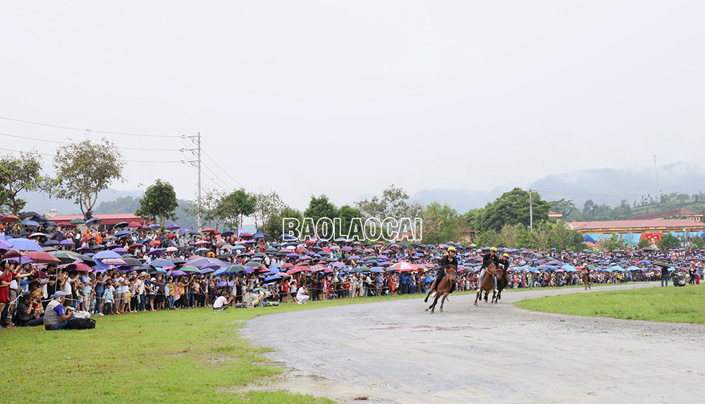 Kịch tính Chung kết Giải đua “Vó ngựa Cao nguyên trắng Bắc Hà mùa hè năm 2022” ảnh 3