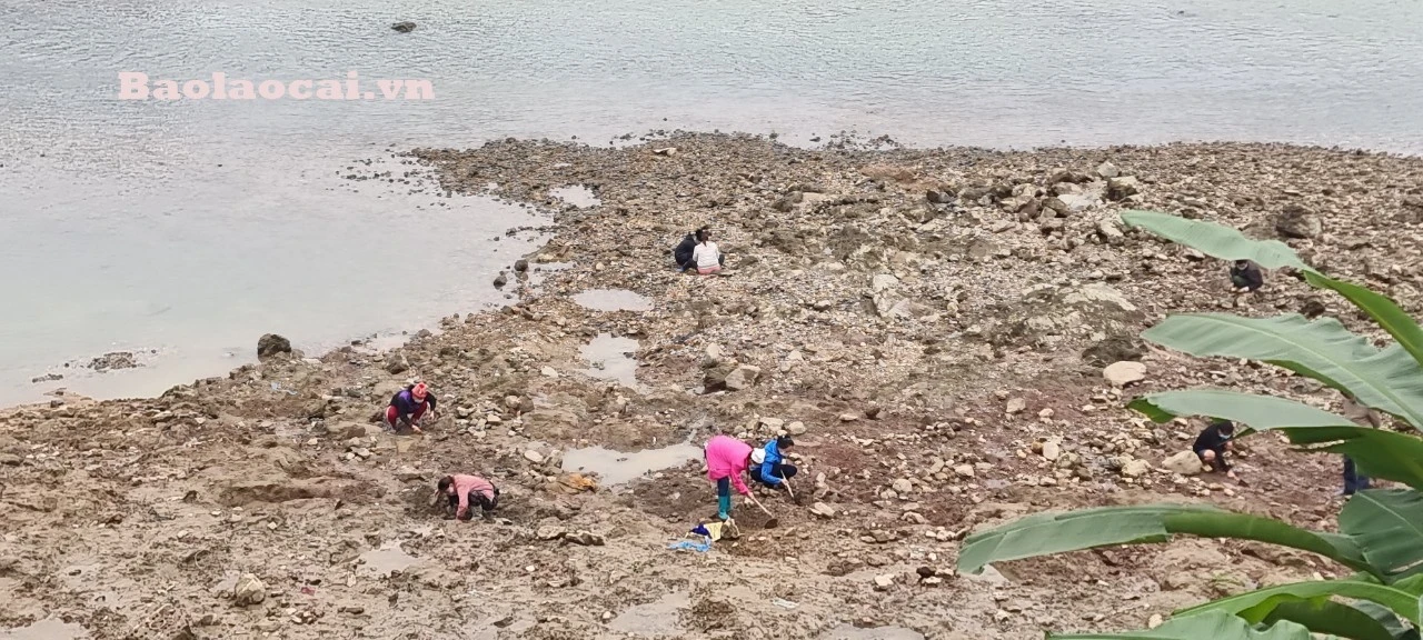 Mặc dù chưa có viên đá quý nào do người dân đào được mang ra giao dịch mua bán công khai, nhưng vì tin đồn, một số người vẫn hằng ngày cất công tìm kiếm dưới lòng sông Chảy.