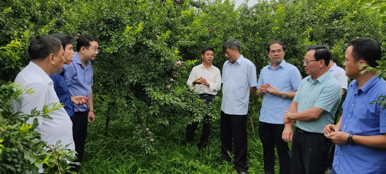 Đoàn công tác tỉnh Lào Cai khảo sát, trao đổi kinh nghiệm sản xuất nông nghiệp, du lịch tại tỉnh Sơn La ảnh 13