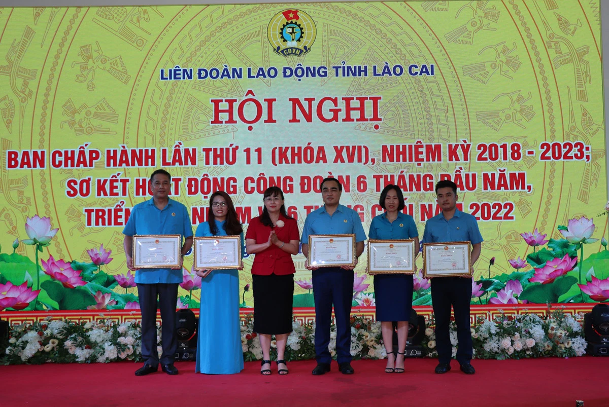 Tiếp tục đẩy mạnh phát triển đoàn viên, thành lập công đoàn cơ sở ảnh 5