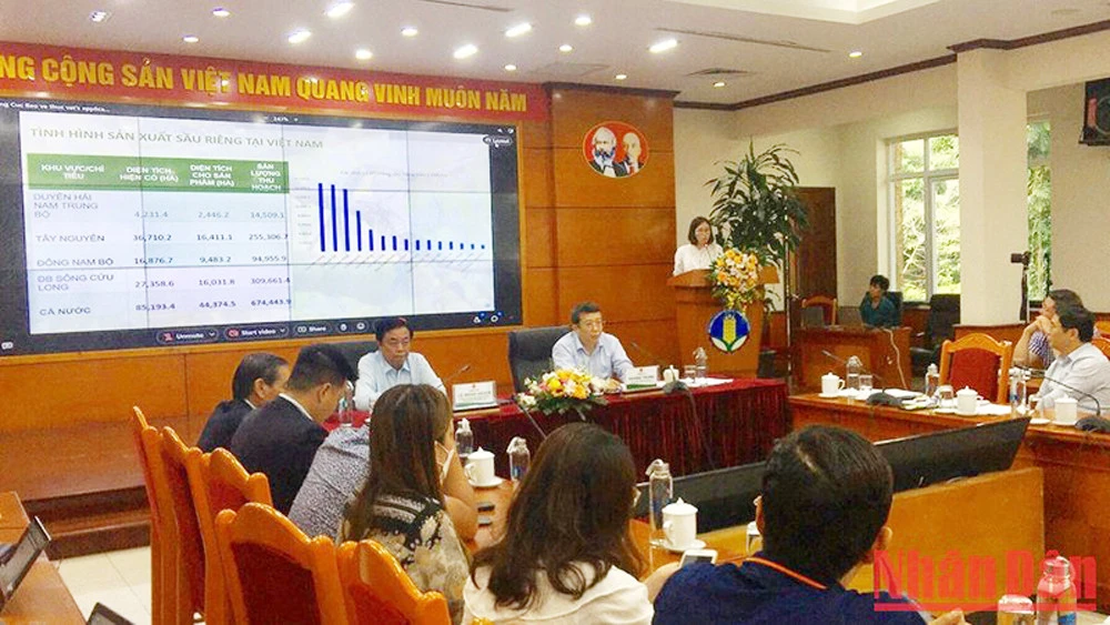 Toàn cảnh Hội nghị triển khai xuất khẩu sầu riêng sang Trung Quốc.