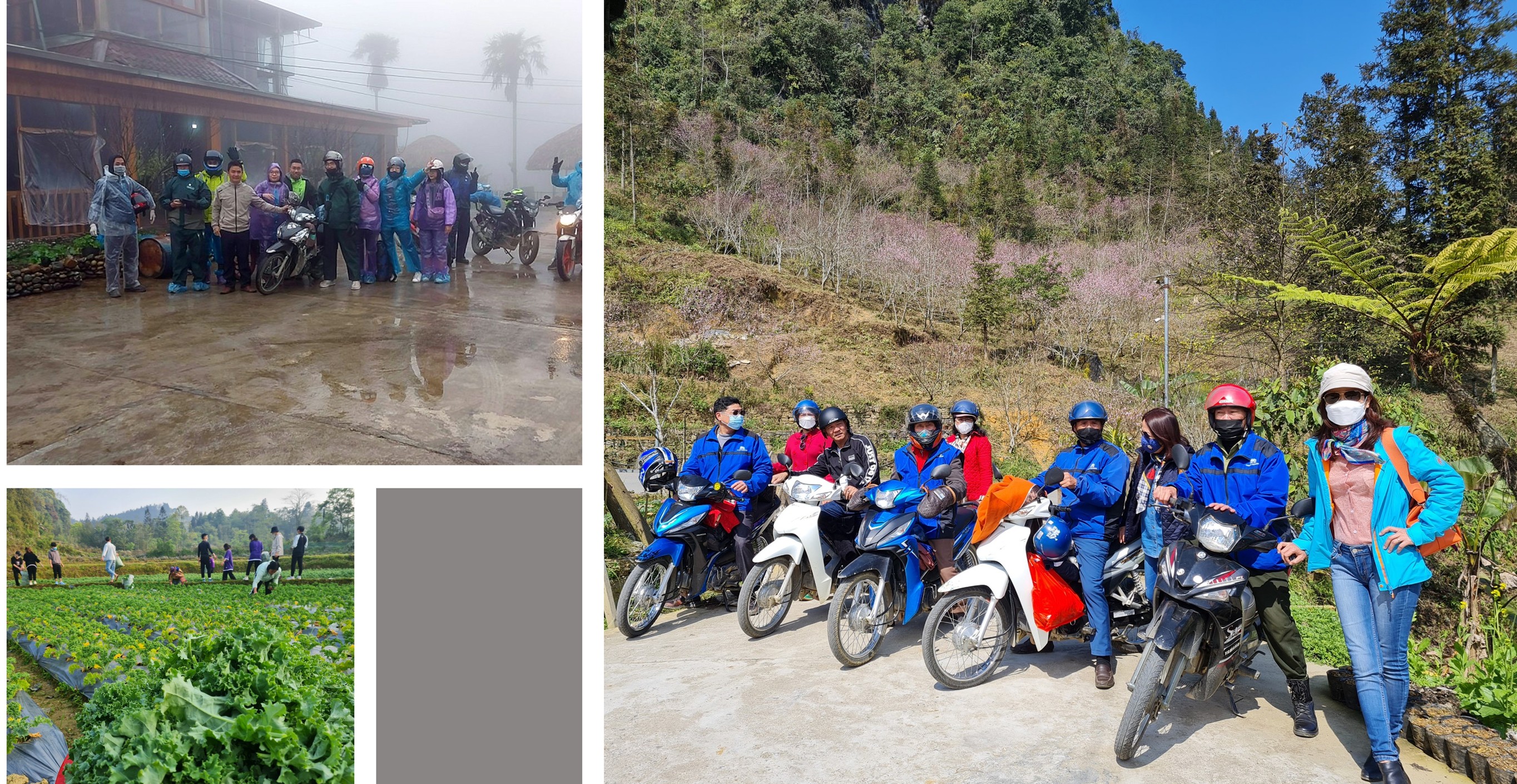 Nhiều du khách đã chọn farmstay A Lềnh để trải nghiệm.