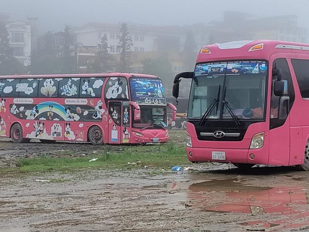 Xử lý vi phạm của xe biển số nước ngoài hoạt động vận tải hành khách ảnh 1 Xử lý vi phạm của xe biển số nước ngoài hoạt động vận tải hành khách ảnh 1