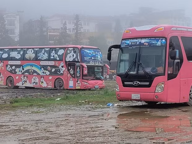 Xử lý vi phạm của xe biển số nước ngoài hoạt động vận tải hành khách ảnh 1