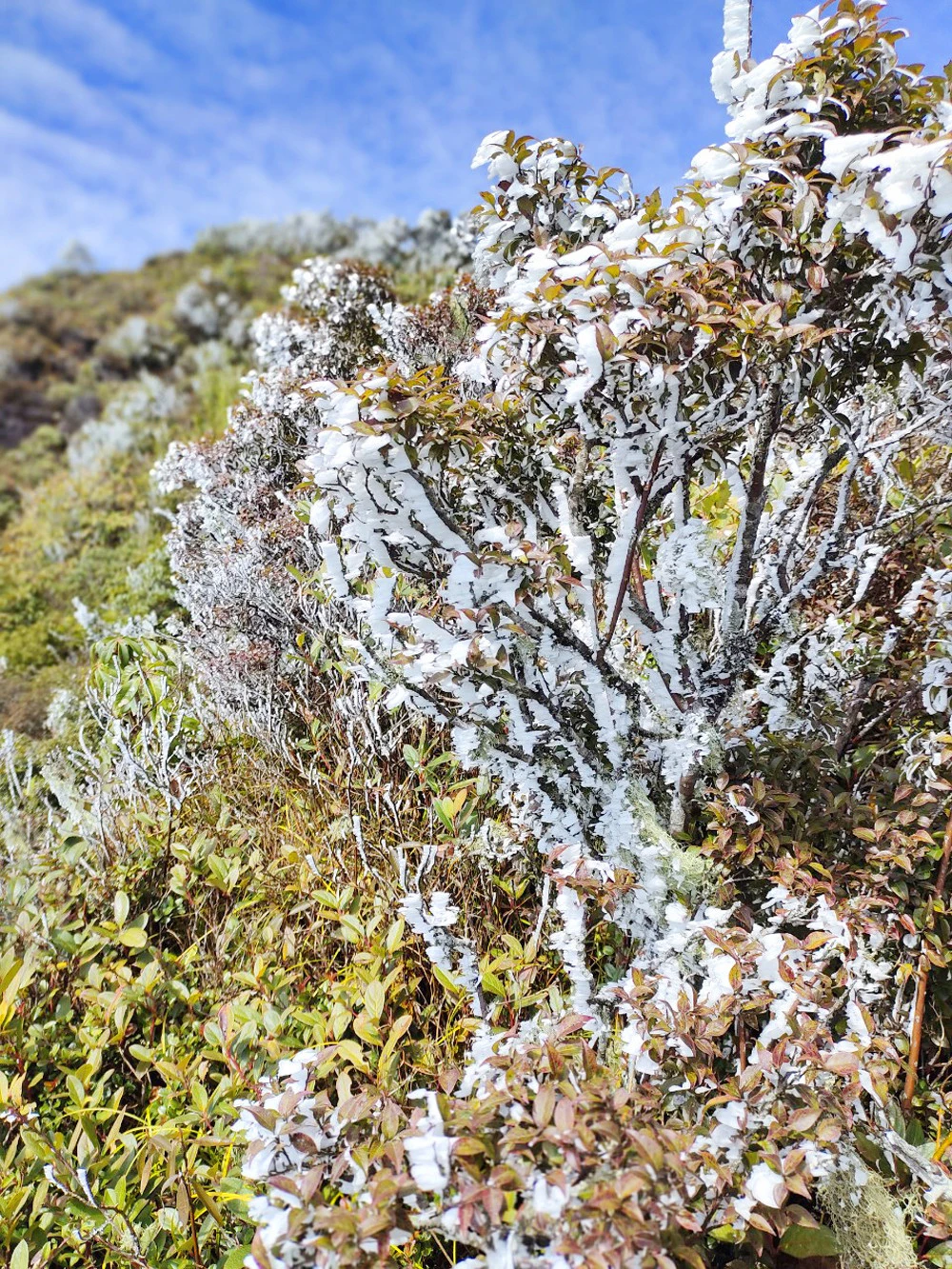 Du khách thích thú "săn" băng giá trên các đỉnh núi cao tại Bát Xát ảnh 5