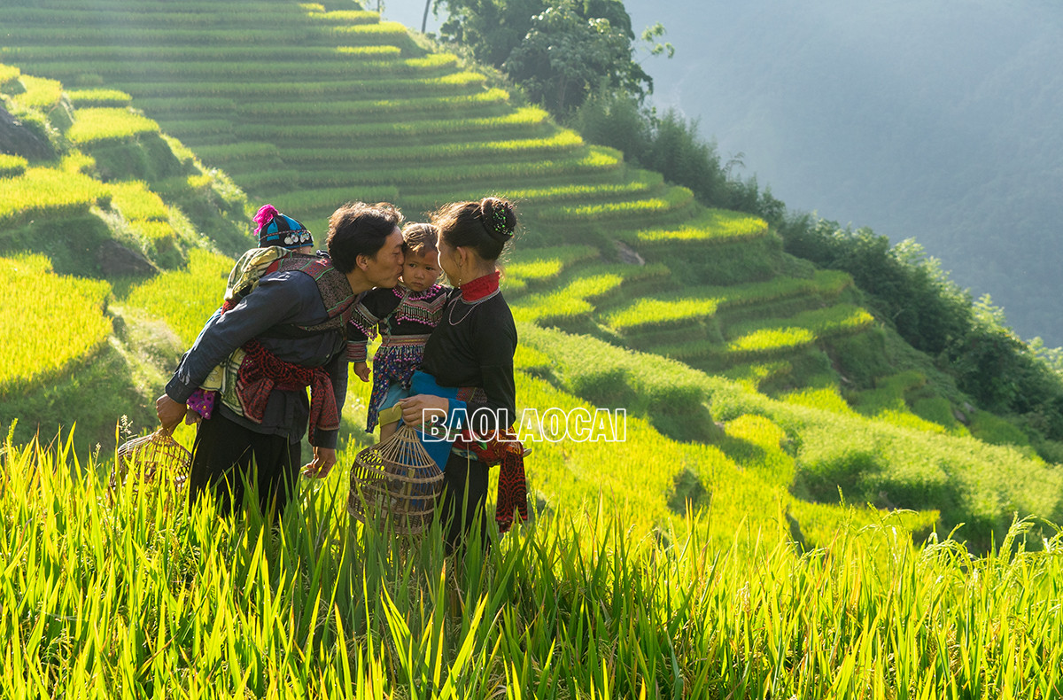 Khoảnh khắc hạnh phúc của hai vợ chồng trẻ người Mông vùng cao Si Ma Cai. Gia đình người Mông Bát Xát trên đường xuống chợ. Khoảnh khắc hạnh phúc của đôi vợ chồng trẻ người Mông Sa Pa. Hạnh phúc bình dị của vợ chồng người Mông Bắc Hà Hạnh phúc bình dị của người Hà Nhì ở xã Ý TÝ , xã Nậm Pung, huyện Bát Xát Hình ảnh đẹp của vợ chồng người Mông xã A Lù (Bát Xát). Ngày mới hạnh phúc của gia đình người Giáy tại Sa Pa.