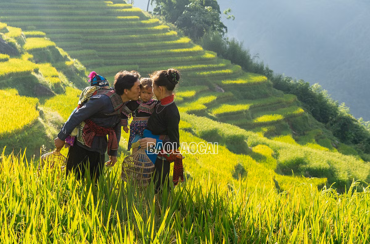 Khoảnh khắc hạnh phúc của hai vợ chồng trẻ người Mông vùng cao Si Ma Cai. Gia đình người Mông Bát Xát trên đường xuống chợ. Khoảnh khắc hạnh phúc của đôi vợ chồng trẻ người Mông Sa Pa. Hạnh phúc bình dị của vợ chồng người Mông Bắc Hà Hạnh phúc bình dị của người Hà Nhì ở xã Ý TÝ , xã Nậm Pung, huyện Bát Xát Hình ảnh đẹp của vợ chồng người Mông xã A Lù (Bát Xát). Ngày mới hạnh phúc của gia đình người Giáy tại Sa Pa.