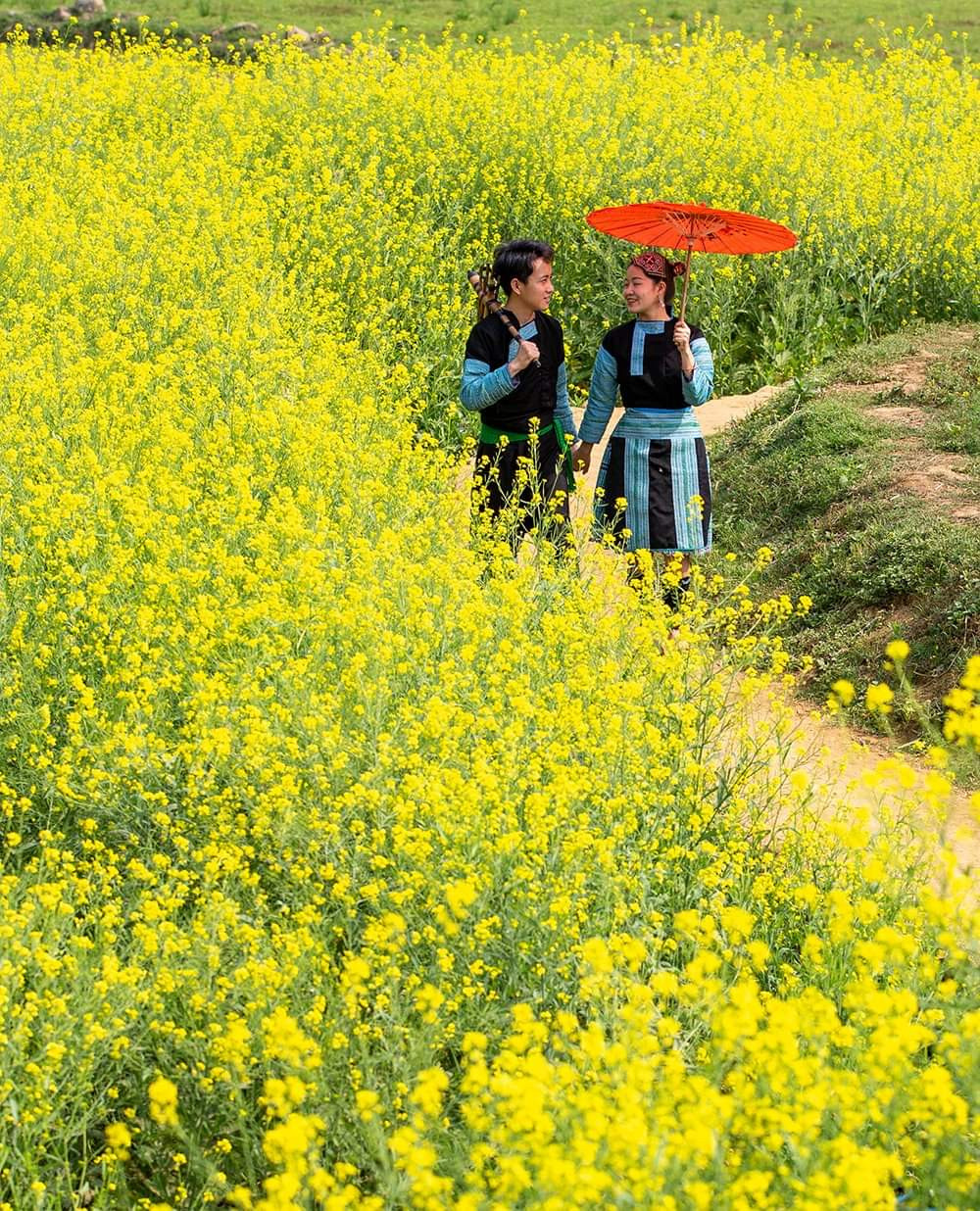 Những “cánh hoa” xinh ... ảnh 1