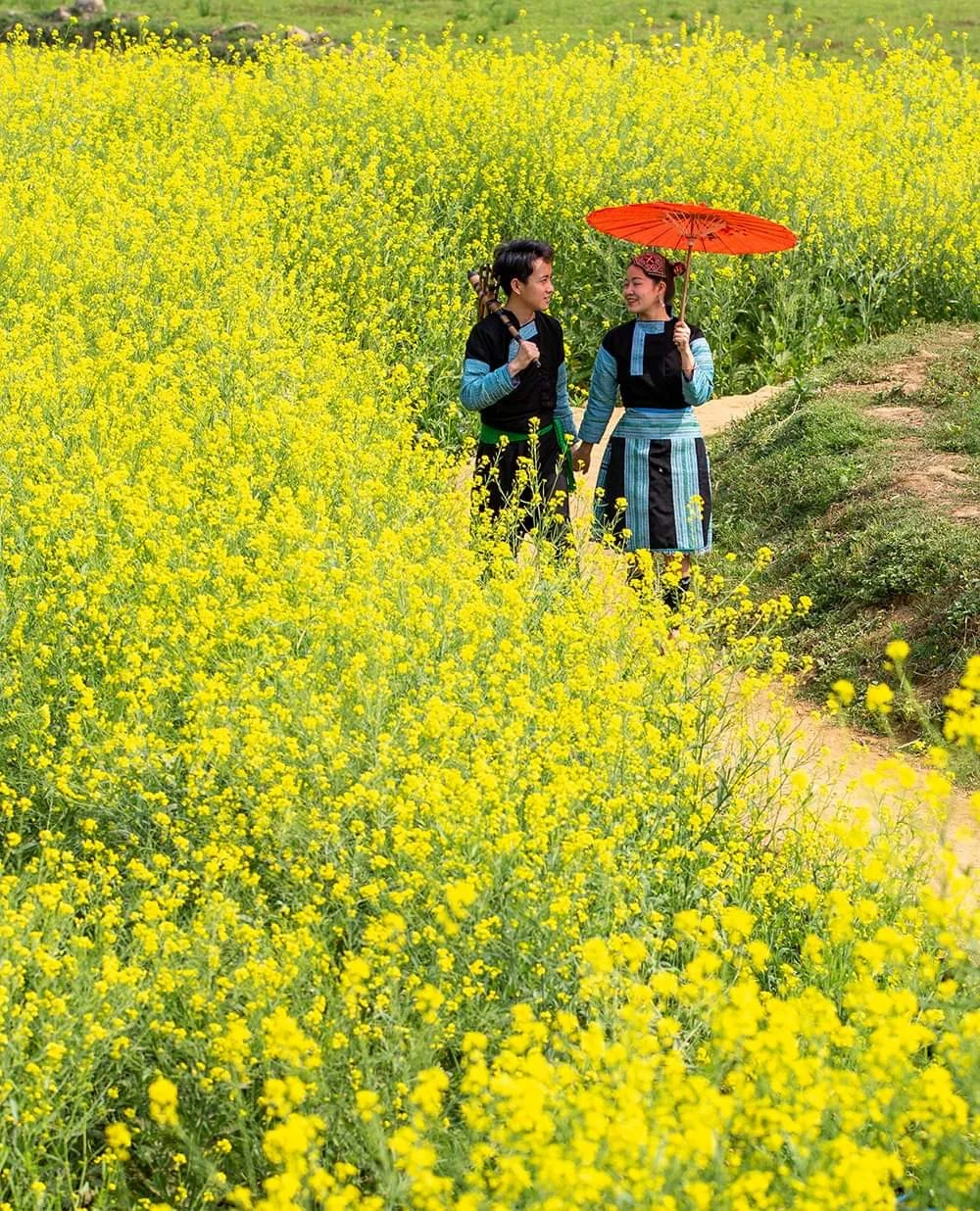 Những “cánh hoa” xinh ... ảnh 1