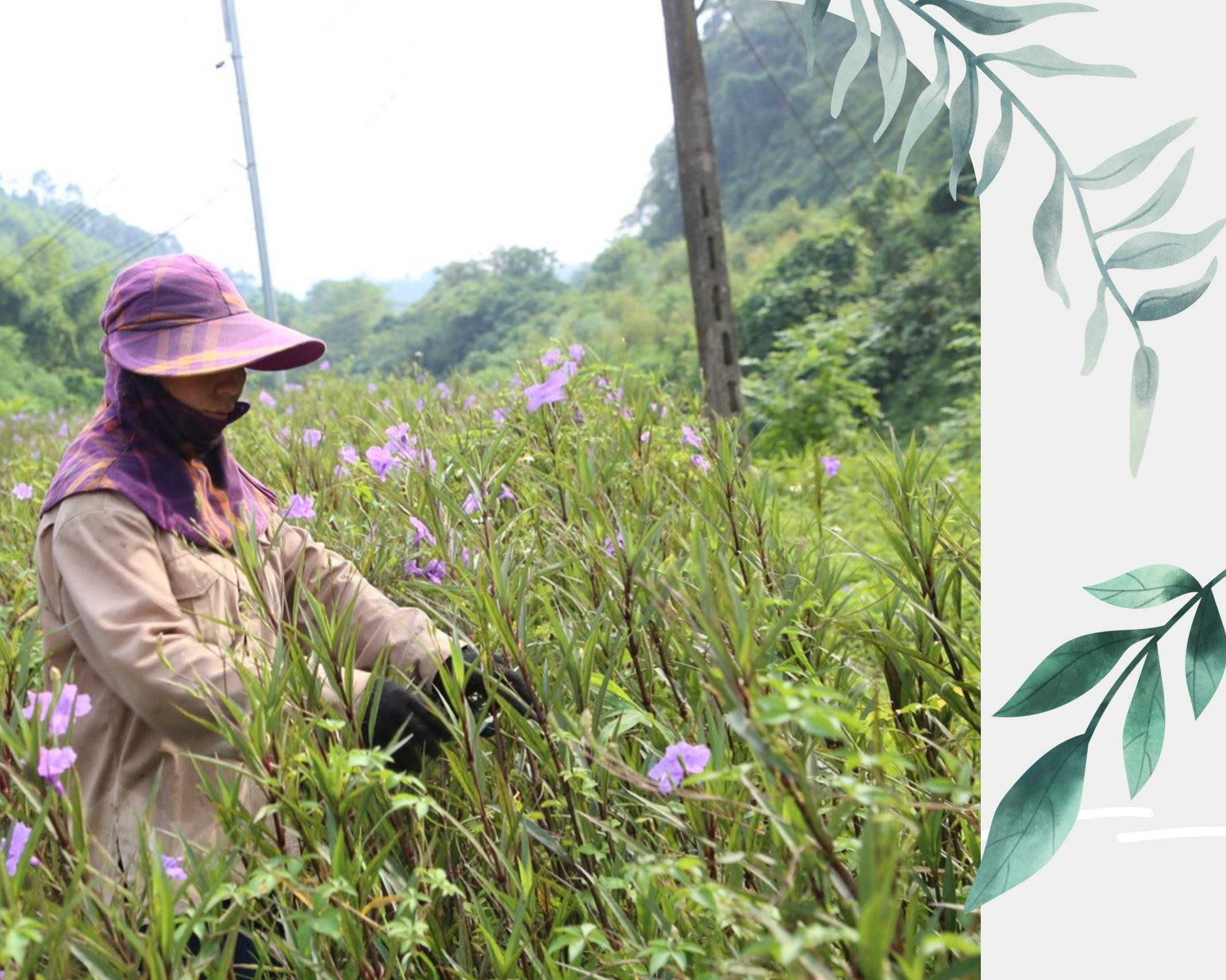 Khi bãi rác… nở hoa ảnh 3 Khi bãi rác… nở hoa ảnh 3