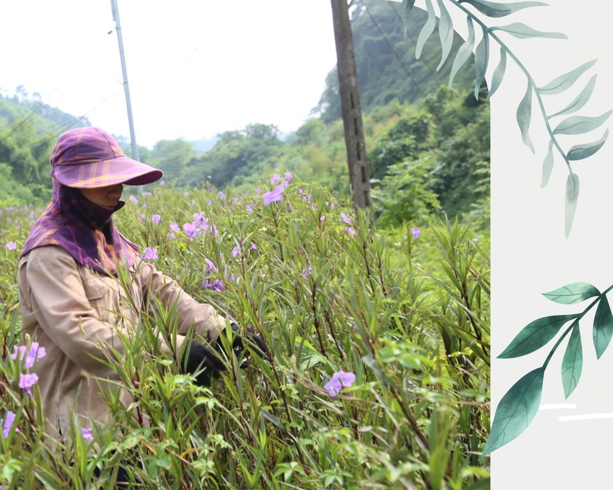 Khi bãi rác… nở hoa ảnh 3